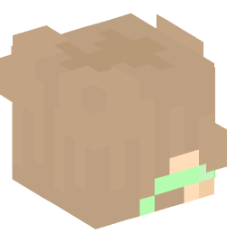 Minecraft head — People