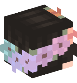 Minecraft head — People