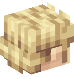 Minecraft head — People