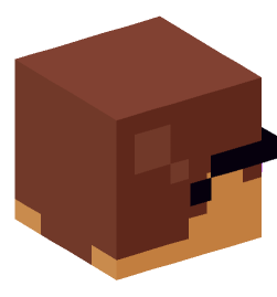 Minecraft head — Miscellaneous