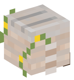 Minecraft head — Decor