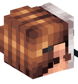 Minecraft head — People