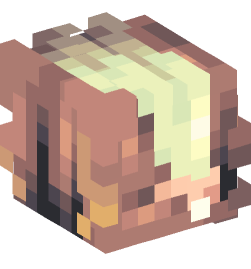 Minecraft head — People