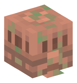 Minecraft head — Monsters