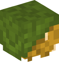 Minecraft head — Creatures