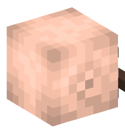 Minecraft head — People