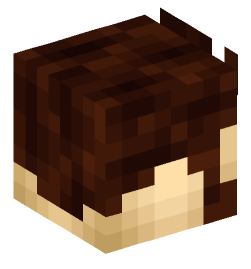 Minecraft head — People