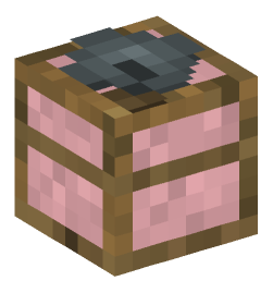 Minecraft head — Decor