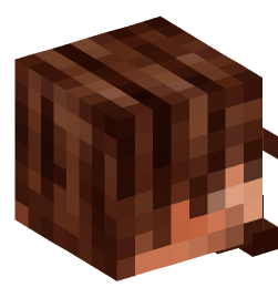 Minecraft head — People