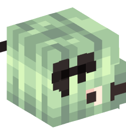 Minecraft head — People