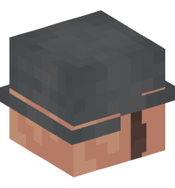 Minecraft head — Creatures