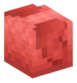 Minecraft head — Animals