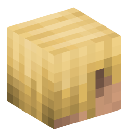 Minecraft head — People