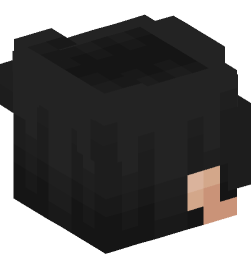 Minecraft head — People