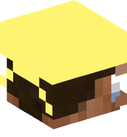 Minecraft head — People