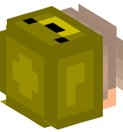 Minecraft head — People