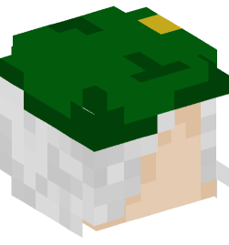 Minecraft head — People