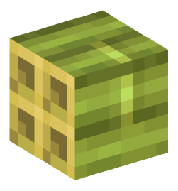 Minecraft head — Blocks