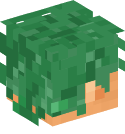 Minecraft head — People