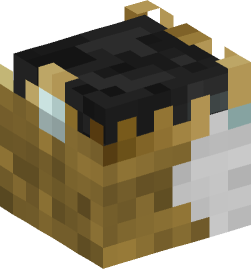 Minecraft head — Creatures