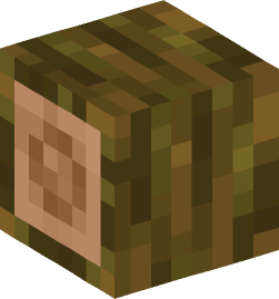 Minecraft head — Blocks