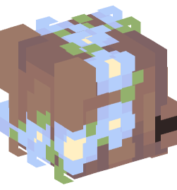 Minecraft head — People