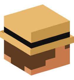 Minecraft head — People