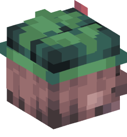 Minecraft head — Creatures