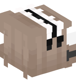 Minecraft head — People