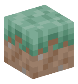 Minecraft head — Blocks