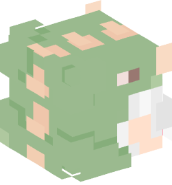 Minecraft head — People