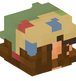 Minecraft head — People