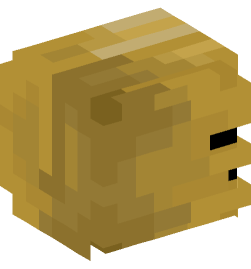 Minecraft head — People