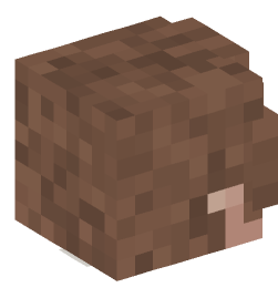 Minecraft head — People