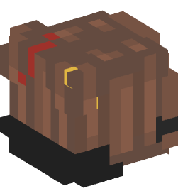 Minecraft head — People