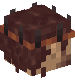 Minecraft head — People