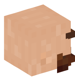 Minecraft head — People