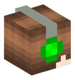 Minecraft head — People