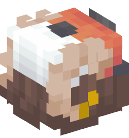 Minecraft head — People