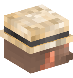 Minecraft head — People