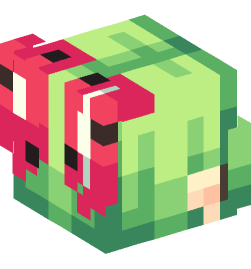Minecraft head — People