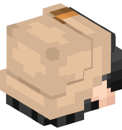 Minecraft head — People