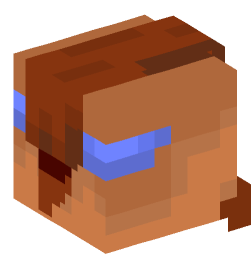 Minecraft head — People