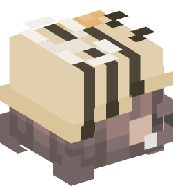 Minecraft head — People