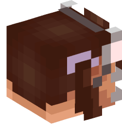 Minecraft head — People