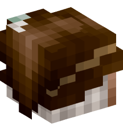 Minecraft head — People