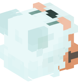 Minecraft head — People