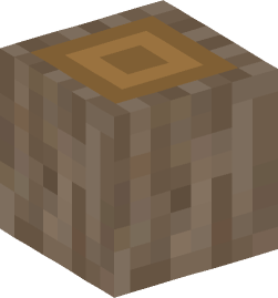 Minecraft head — Blocks