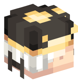 Minecraft head — People