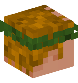 Minecraft head — People